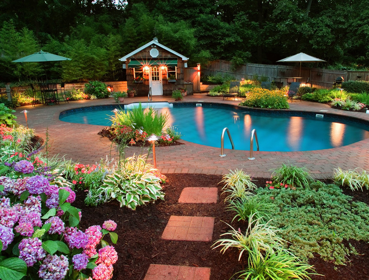 Garden Swimming Pool Designs